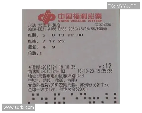 双色球胆拖玩法详解与技巧分享助你轻松中奖提升购彩乐趣