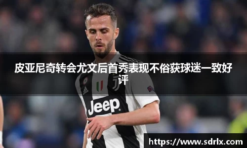 bevictor伟德官网下载