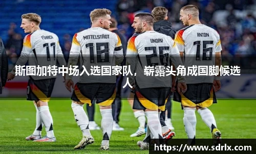 bevictor伟德APP