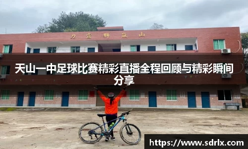 bevictor伟德官网下载